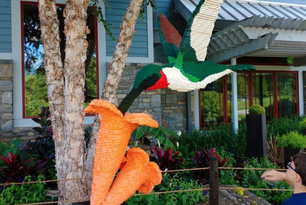 オブジェ　zoo Nature Connects: Astounding Lego Sculpture Exhibition to Open at